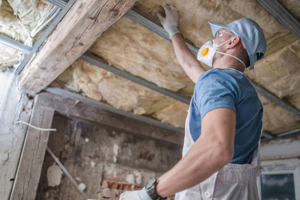 Best Residential Insulation in Wailua, HI