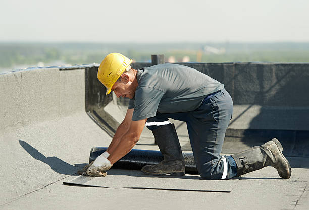 Professional Insulation Contractor in HI